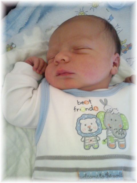 2011_023.jpg - 264621 Bytes