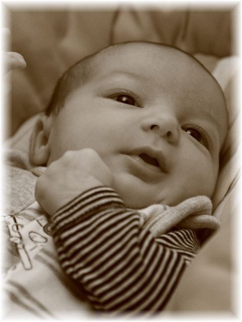 2011_024.jpg - 37443 Bytes