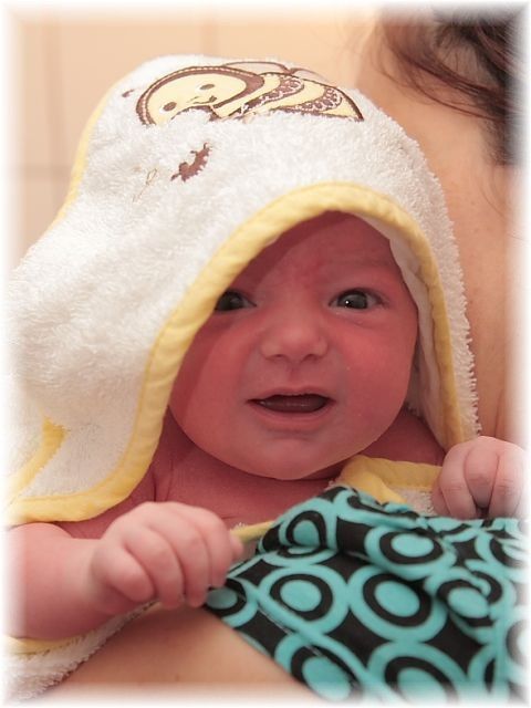 2011_024b.jpg - 42393 Bytes