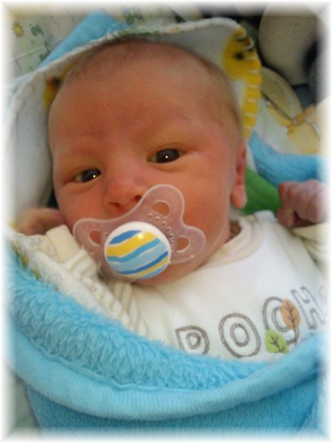 2011_025.jpg - 264621 Bytes