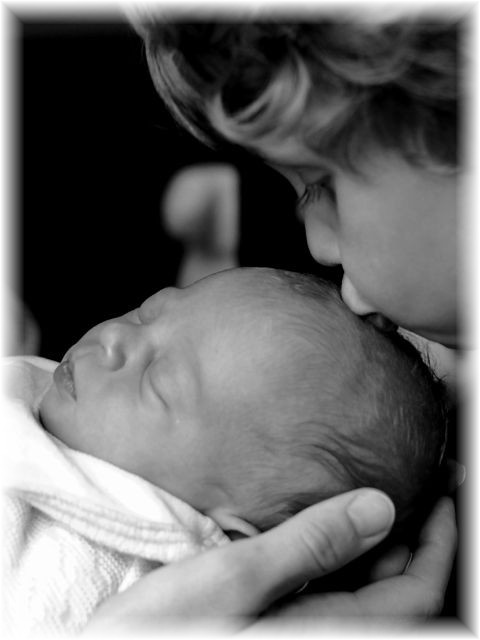 2011_027.jpg - 264621 Bytes