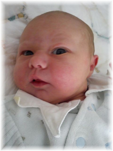 2011_028.jpg - 264621 Bytes