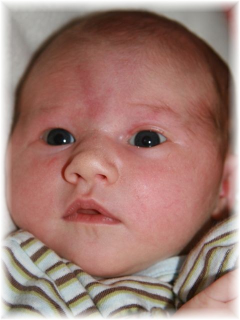 2011_029a.jpg - 37443 Bytes