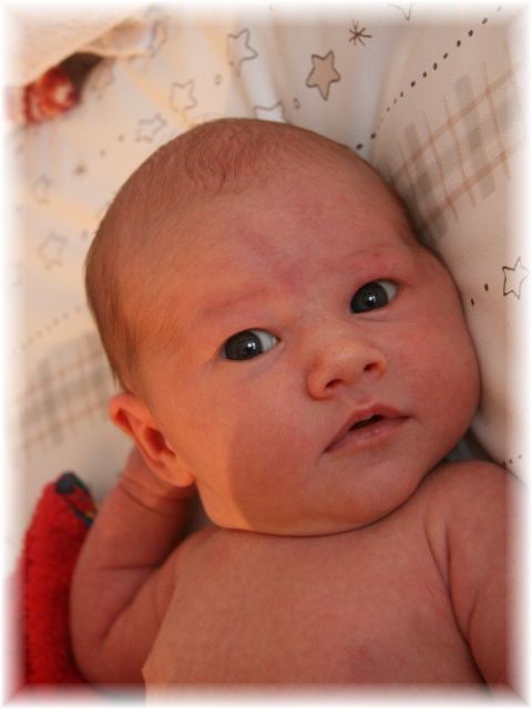 2011_029b.jpg - 42393 Bytes