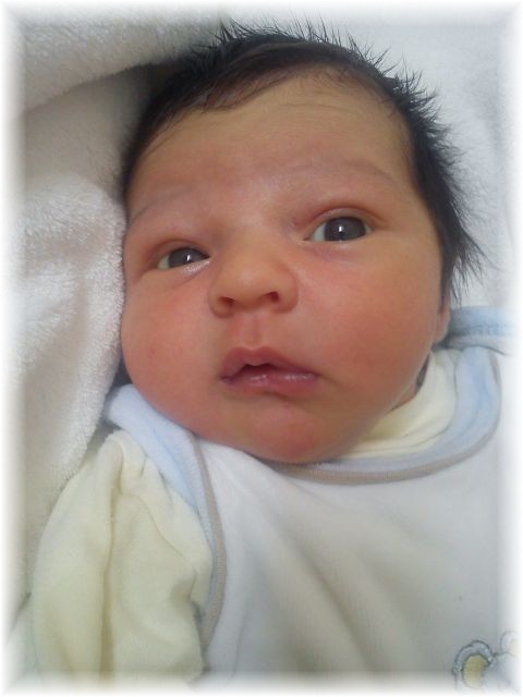 2011_030.jpg - 264621 Bytes