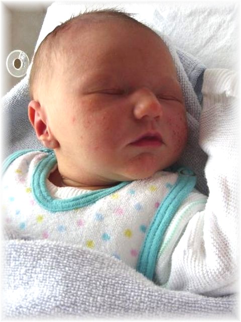 2011_031.jpg - 264621 Bytes