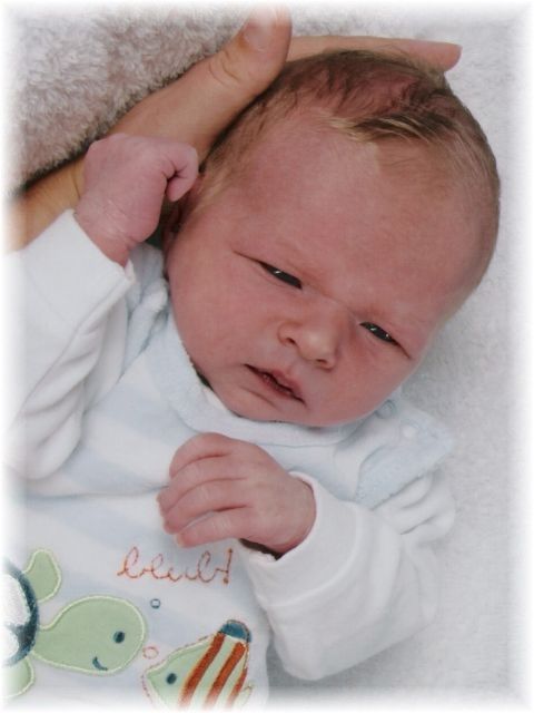 2011_034a.jpg - 264621 Bytes