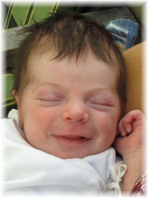 2011_036.jpg - 264621 Bytes