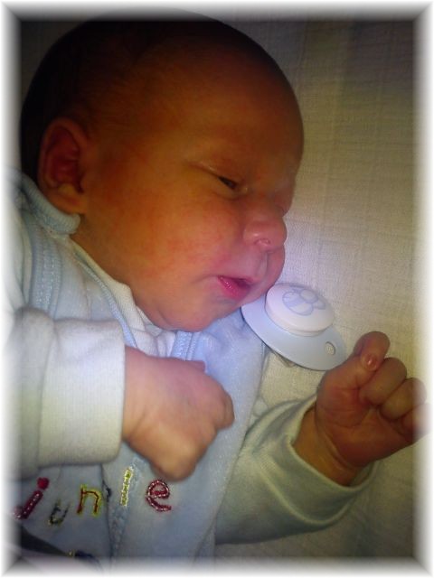 2011_037.jpg - 264621 Bytes