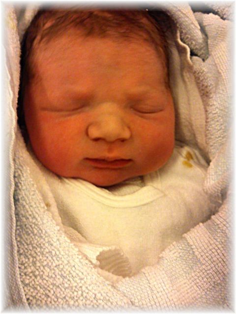 2011_040.jpg - 264621 Bytes