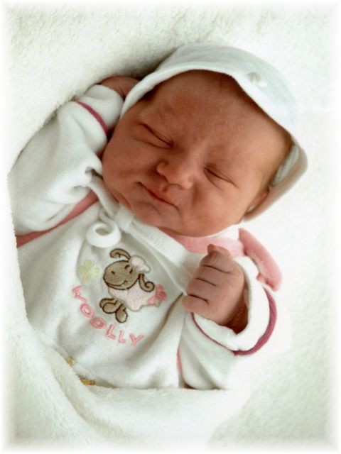 2011_042.jpg - 264621 Bytes