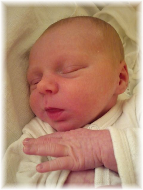 2011_043.jpg - 264621 Bytes