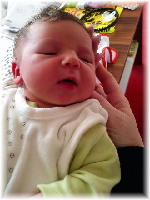 2011_045.jpg - 264621 Bytes