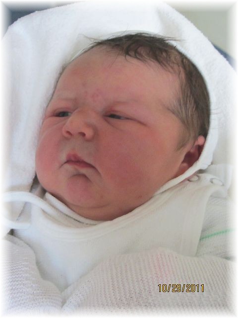 2011_046b.jpg - 42393 Bytes