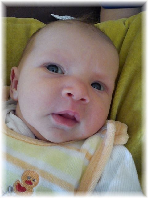 2011_047.jpg - 264621 Bytes