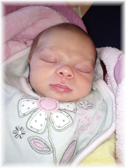 2011_050.jpg - 264621 Bytes