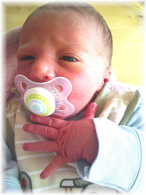 2012_001.jpg - 264621 Bytes