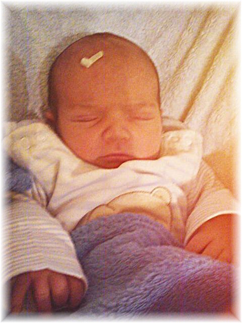 2012_002.jpg - 264621 Bytes