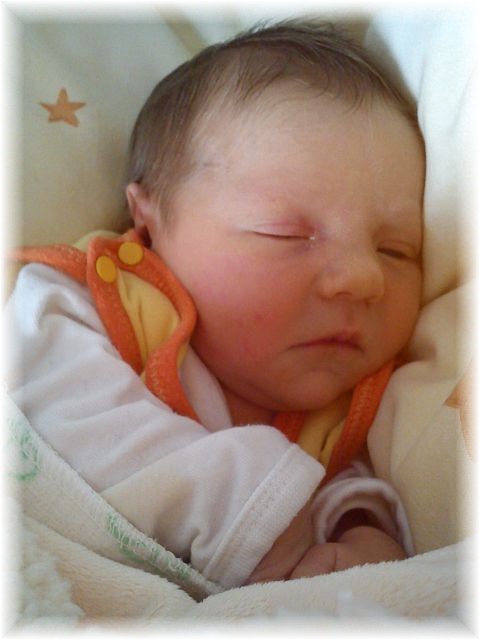 2012_004.jpg - 264621 Bytes