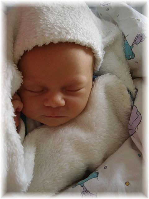 2012_005.jpg - 264621 Bytes