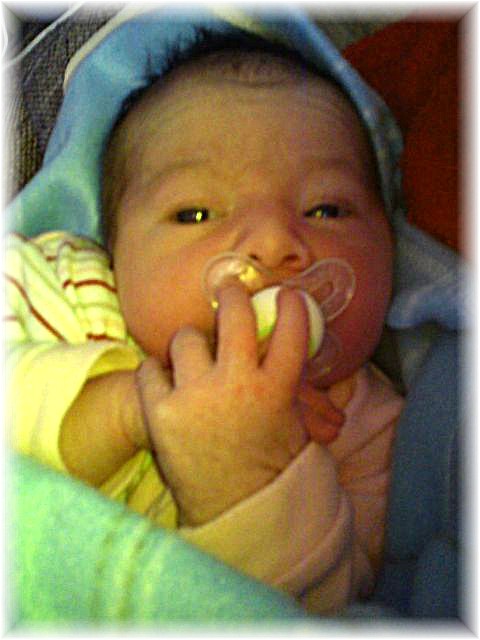 2012_006.jpg - 264621 Bytes