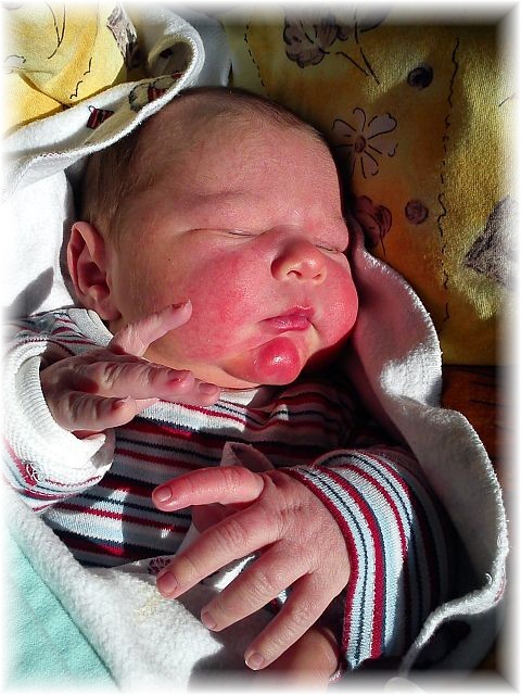 2012_007.jpg - 264621 Bytes