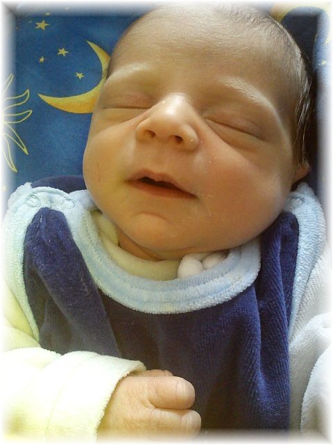 2012_009.jpg - 264621 Bytes