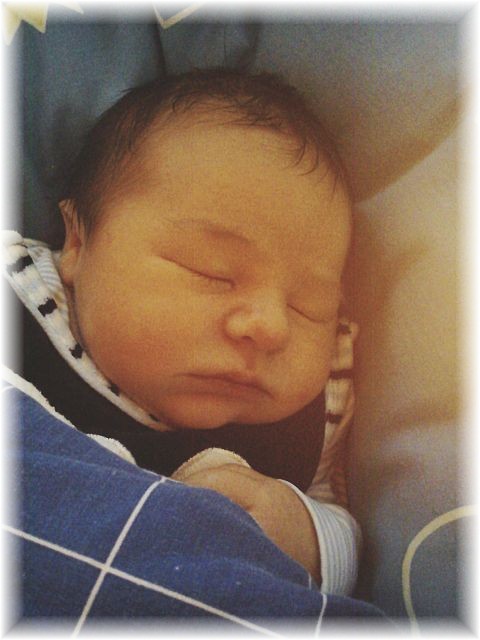 2012_010.jpg - 264621 Bytes