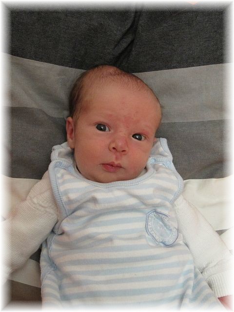 2012_011.jpg - 264621 Bytes