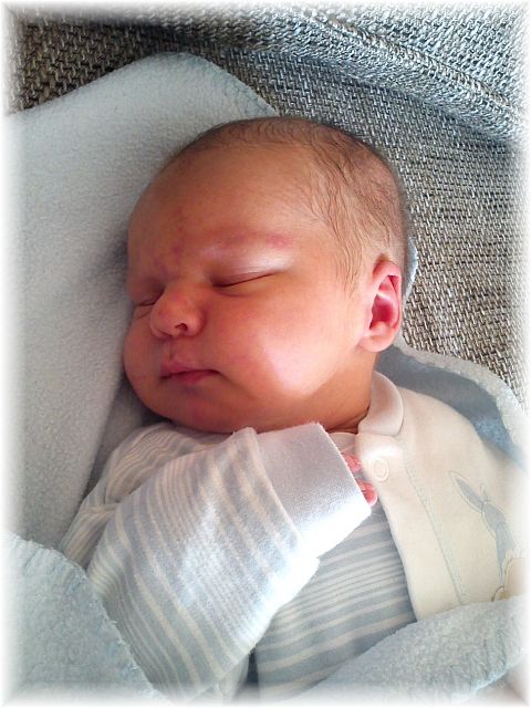 2012_014.jpg - 264621 Bytes