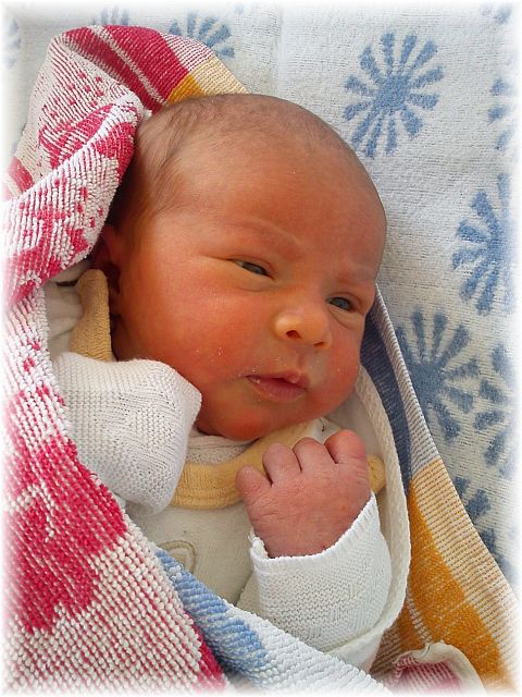 2012_015.jpg - 264621 Bytes