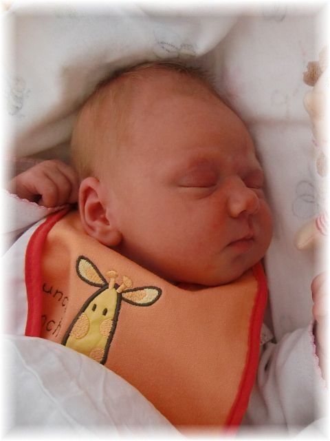 2012_018.jpg - 264621 Bytes