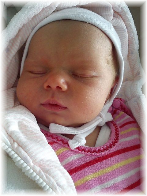 2012_019.jpg - 264621 Bytes