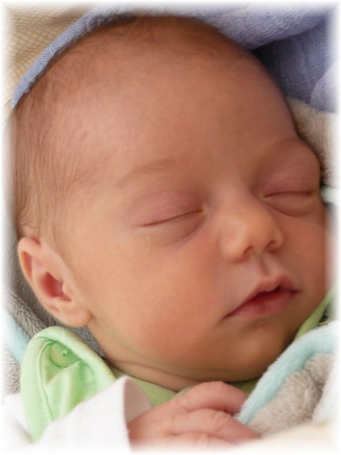 2012_021.jpg - 264621 Bytes