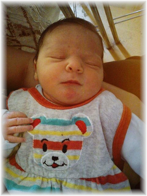 2012_022.jpg - 264621 Bytes