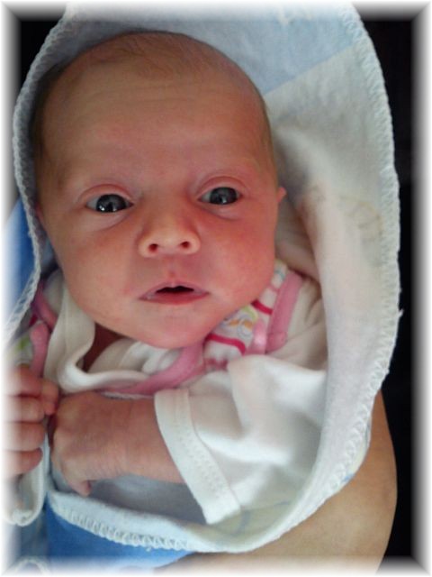 2012_025.jpg - 264621 Bytes