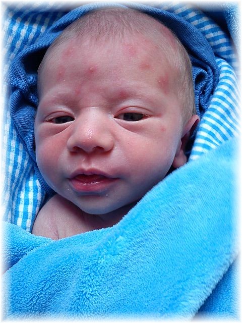 2012_026.jpg - 264621 Bytes