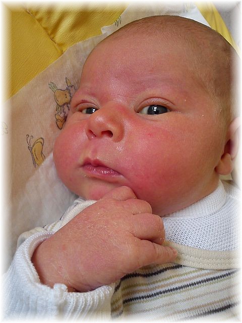 2012_027.jpg - 264621 Bytes