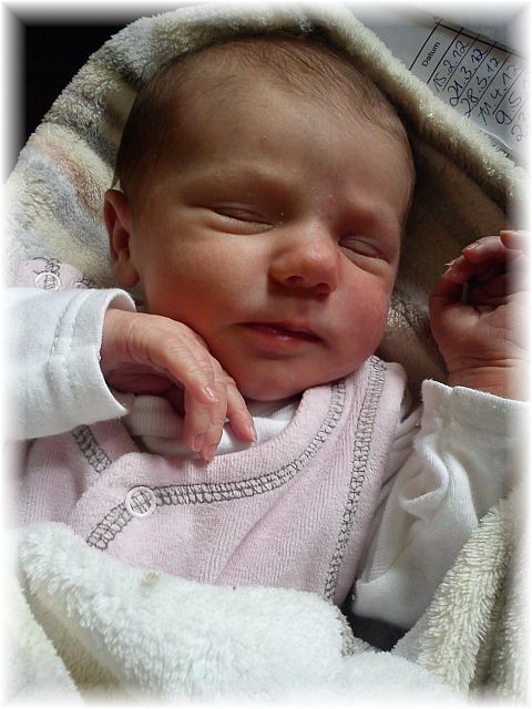 2012_028.jpg - 264621 Bytes