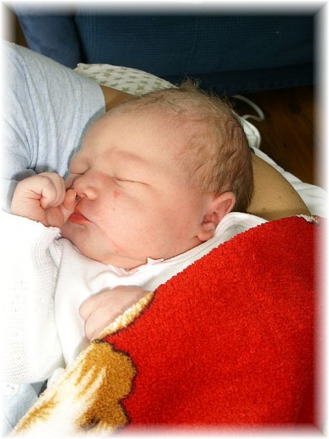 2012_030a.jpg - 68529 Bytes