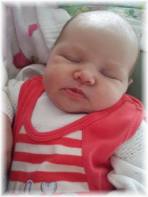 2012_030b.jpg - 64807 Bytes