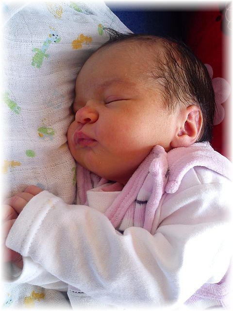 2012_031.jpg - 264621 Bytes