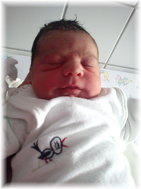 2012_032.jpg - 264621 Bytes