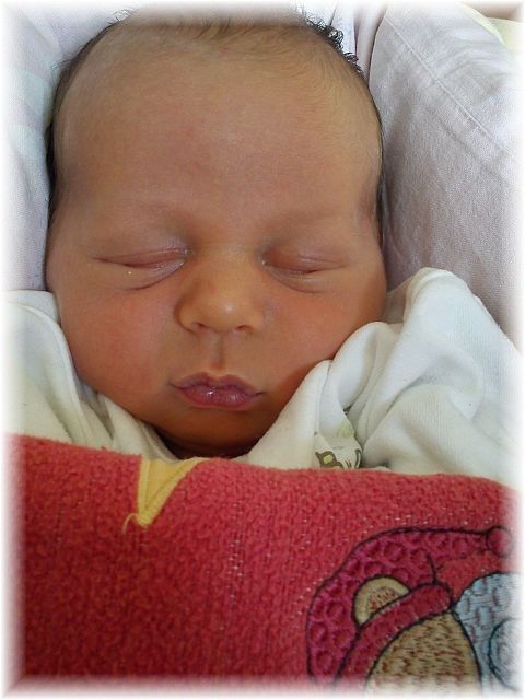 2012_033.jpg - 264621 Bytes