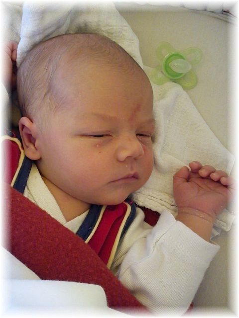 2012_034.jpg - 264621 Bytes