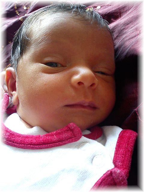 2012_035.jpg - 264621 Bytes