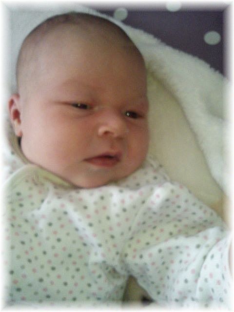 2012_037.jpg - 264621 Bytes