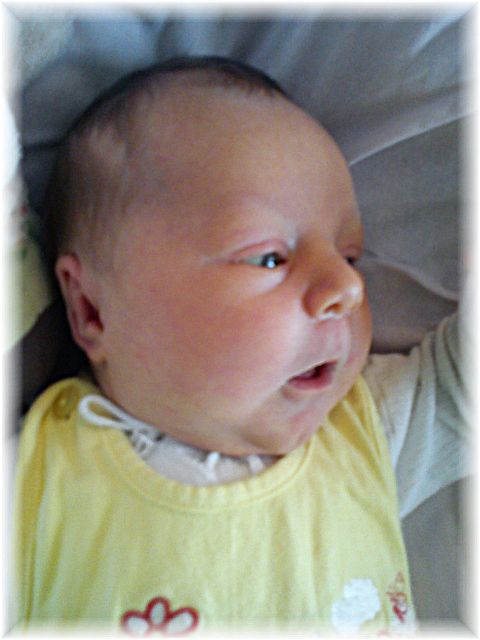 2012_038.jpg - 264621 Bytes