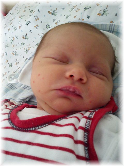 2012_039.jpg - 264621 Bytes