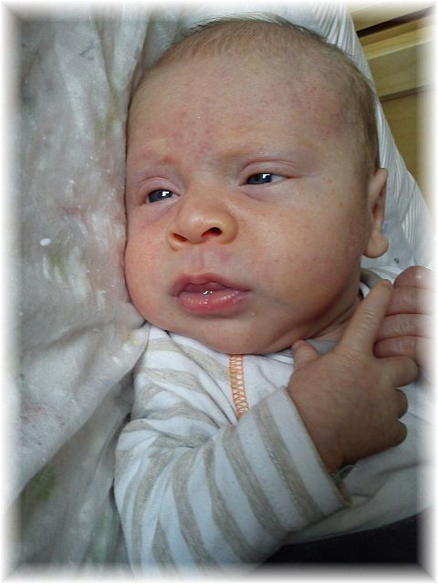 2012_041.jpg - 264621 Bytes